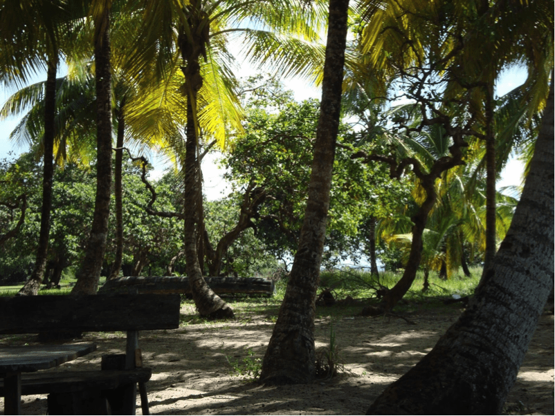 Hometown : Focus sur Saint-Laurent-du-Maroni, en Guyane française