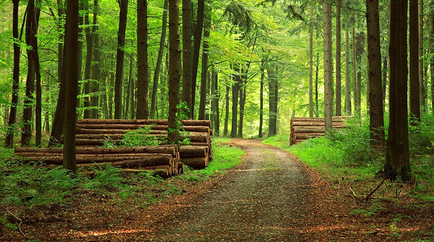 The Green Non-Paradox
