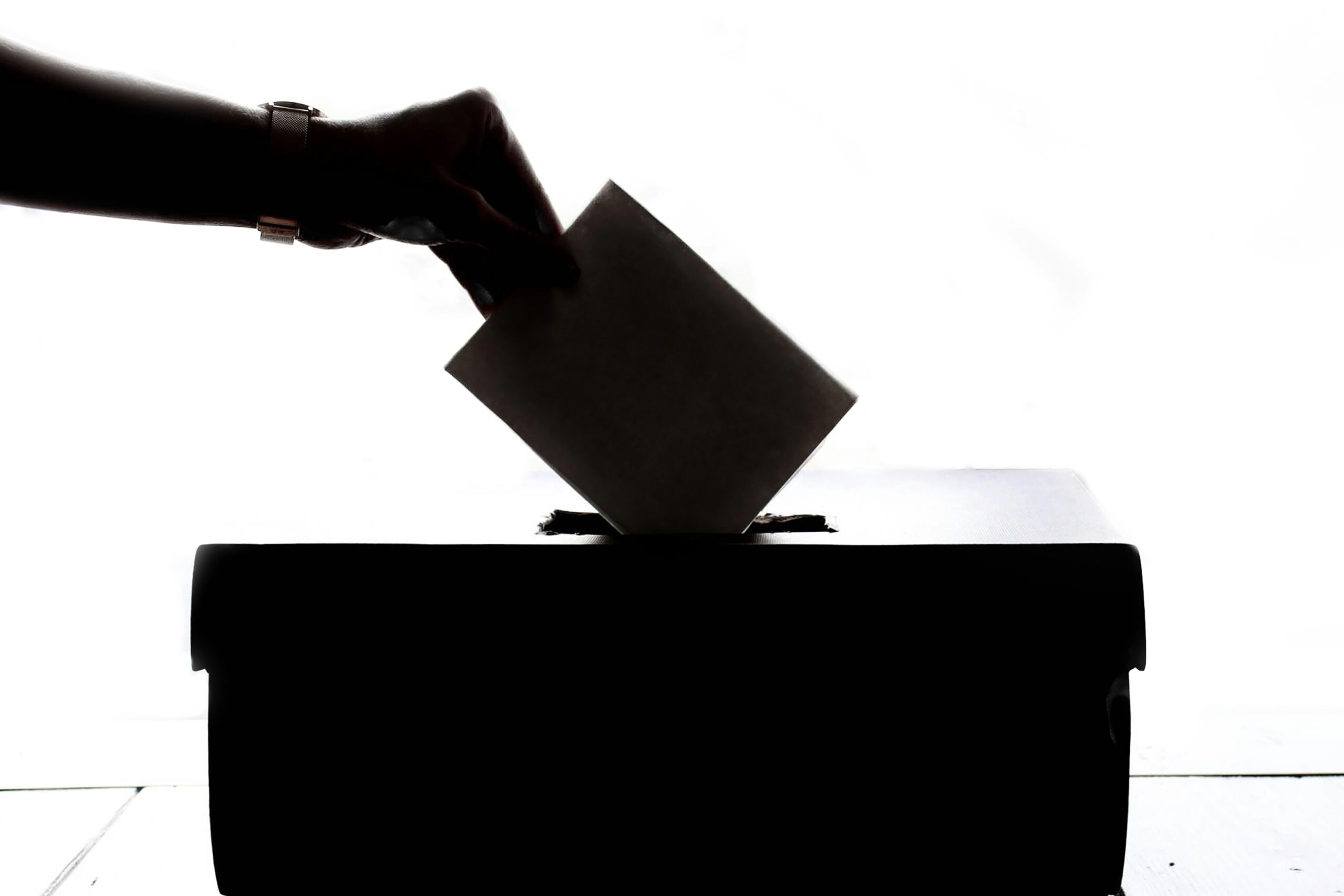 The Hitchhiker’s Guide to… 2024 Elections