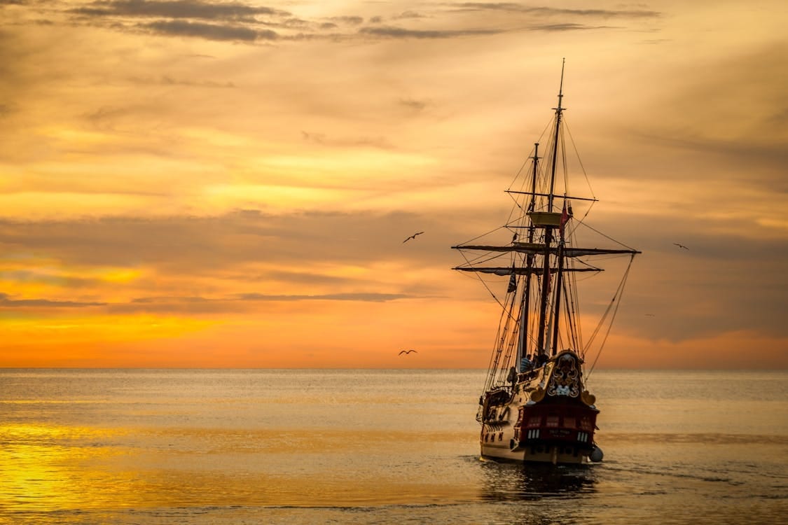 A Tale of Plunder and Prose