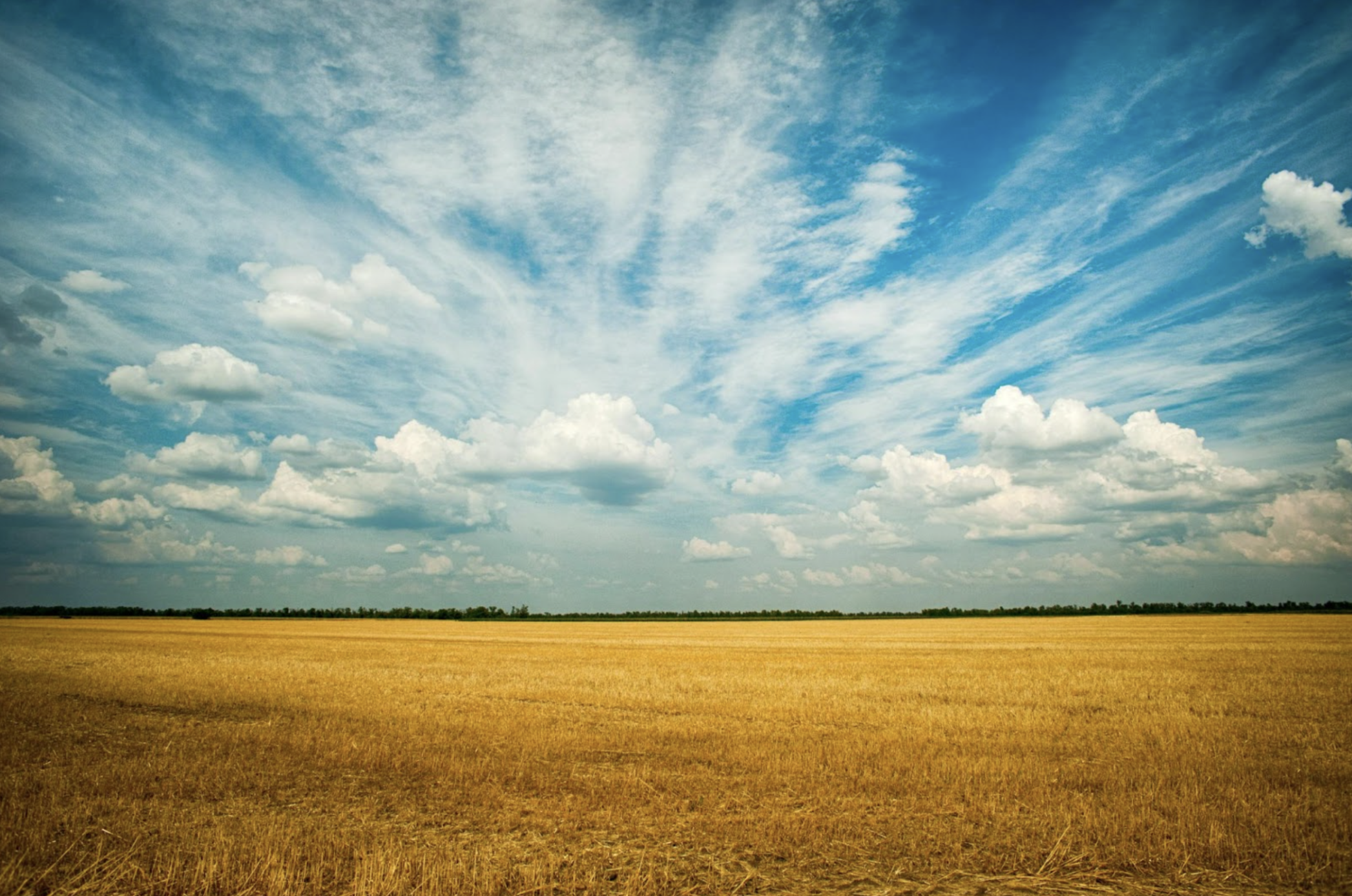 The Farmer’s Wife