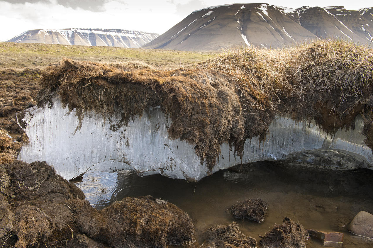Melting Grounds: Permafrost’s Impact on Climate Change and Ecosystems Disintegration